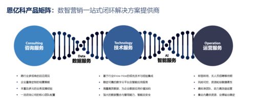 咨詢賦能，技術破局 營銷數字化轉型中的價值躍升之道